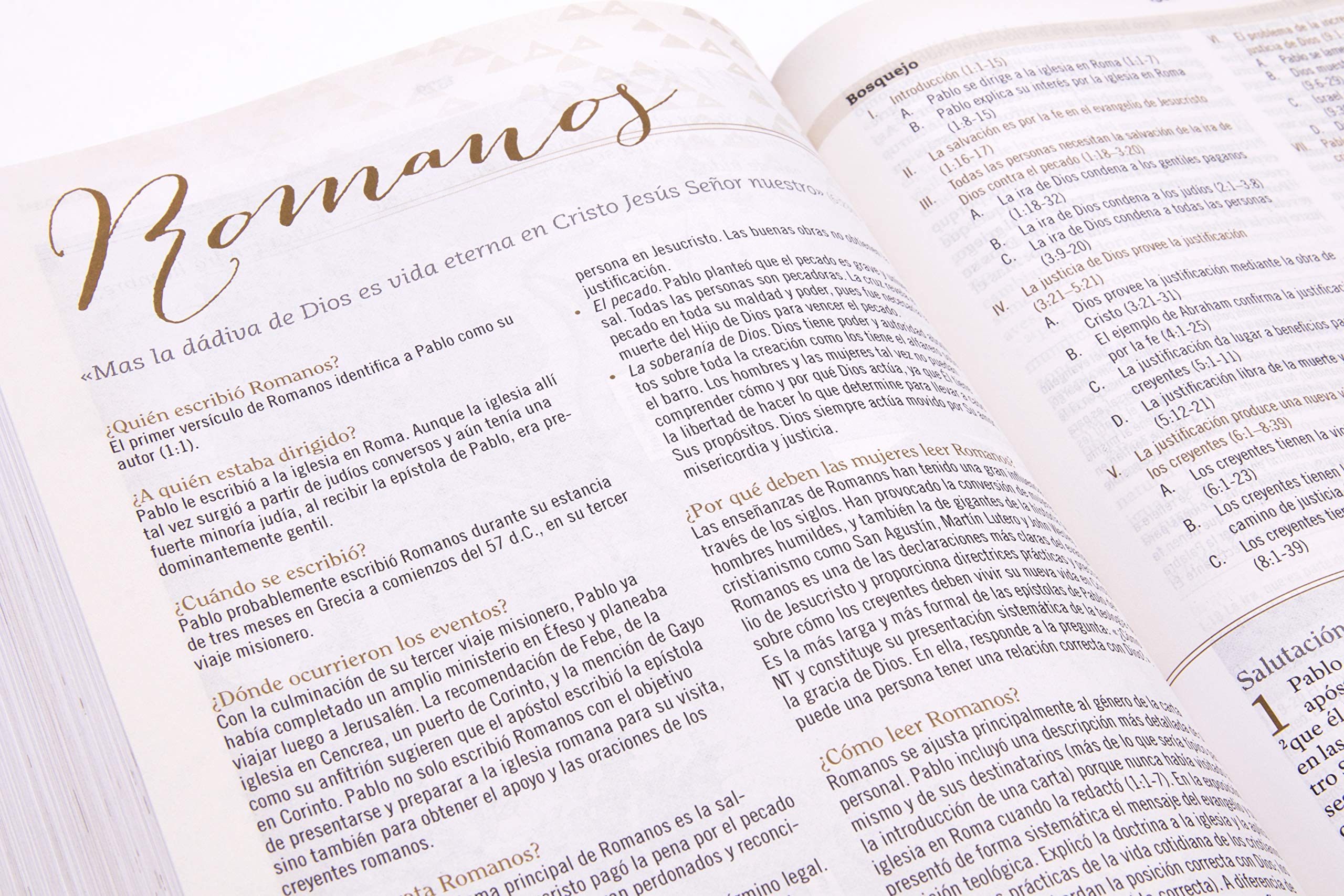 Biblia Reina Valera 1960 de Estudio para Mujeres, Tapa dura | RVR 1960 Women's Study Bible, Hardcover (Spanish Edition) Biblia Reina Valera 1960 de Estudio para Mujeres, Tapa dura | RVR 1960 Women's Study Bible, Hardcover (Spanish Edition) Hardcover