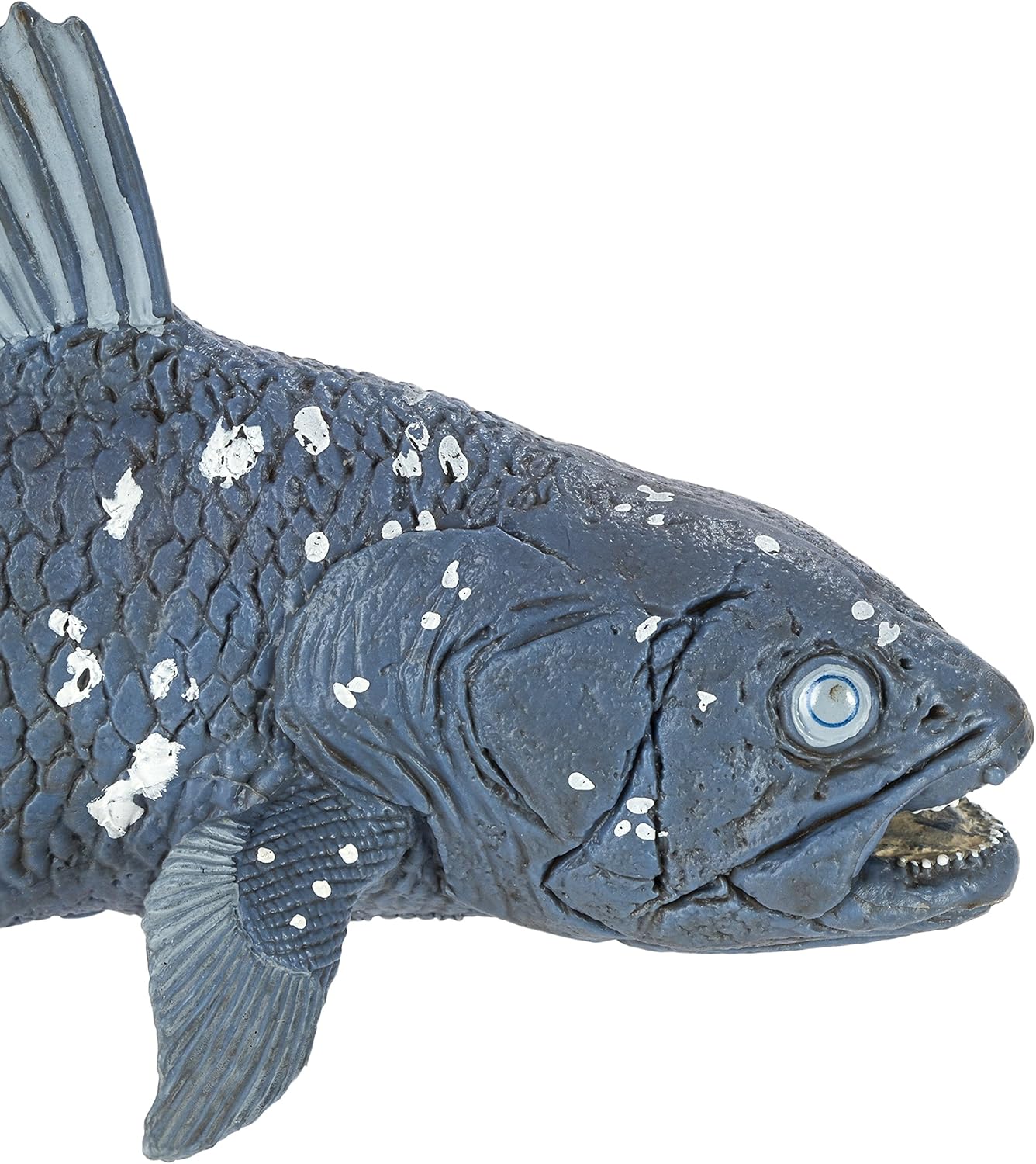 coelacanth toy