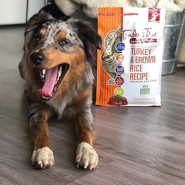 TENDER & TRUE ANTIBIOTIC-FREE TURKEY & BROWN RICE RECIPE DOG FOOD, 4 LB