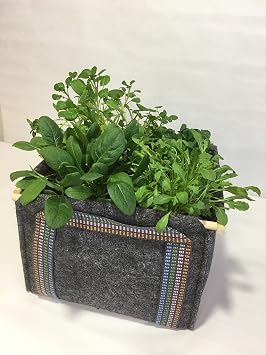 Experiencia Huerto Urbano SACO Cubo + Plantas ECO: Amazon.es: Jardín