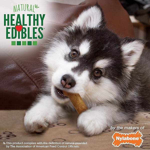 NYLABONE HEALTHY EDIBLES NATURAL PUPPY CHEWS LONG LASTING TREATS FOR PUPPIES, LAMB & APPLE FLAVOR, X-SMALL/PETITE (4 COUNT)