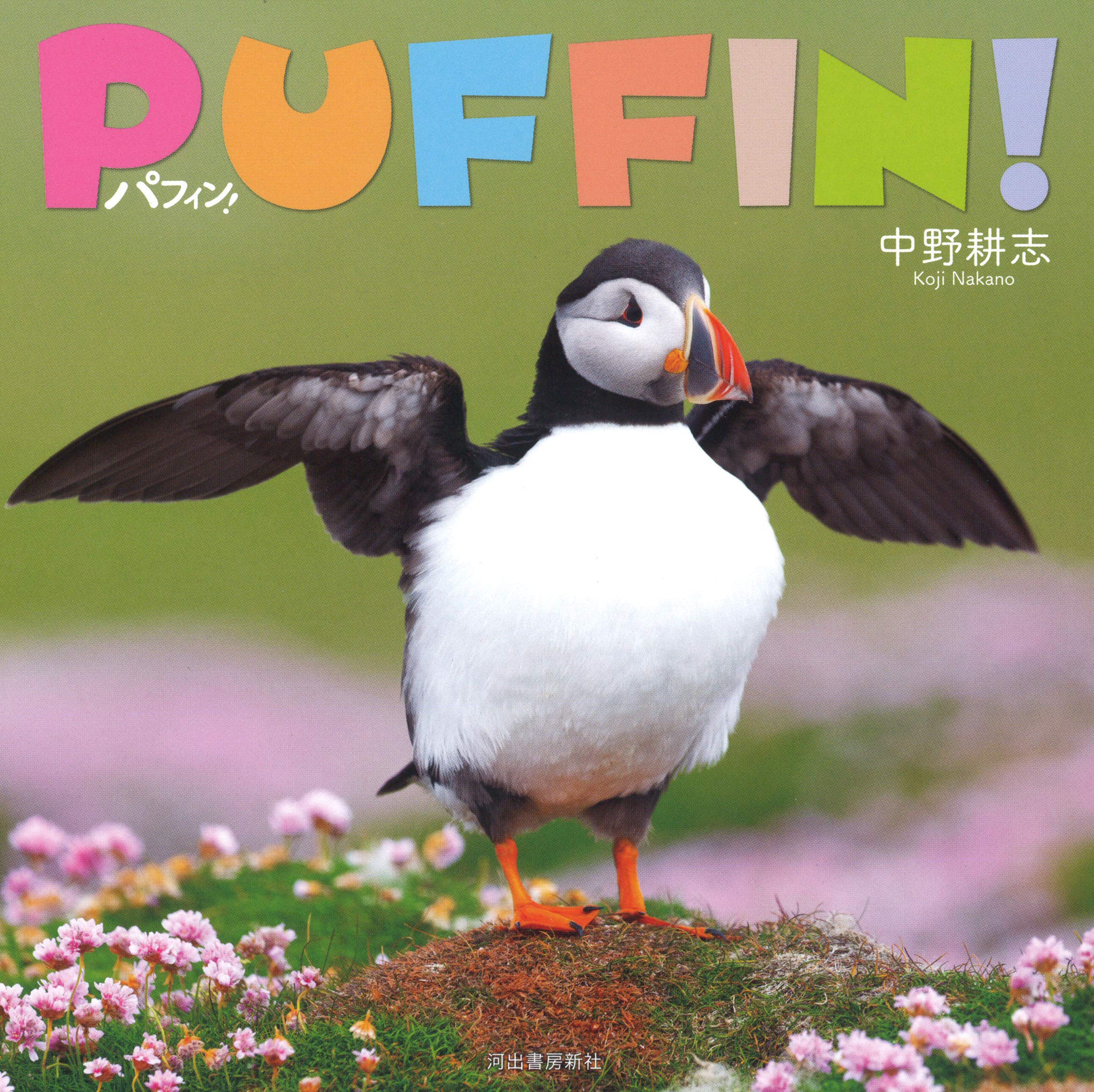 パフィン 中野耕志 本 通販 Amazon