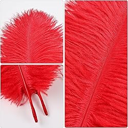 THARAHT 24pcs Red Ostrich Feathers Natural Bulk