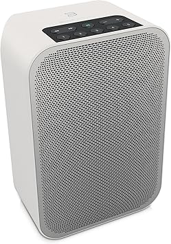 multi room smart speaker