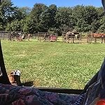 Review Image by HaliPawz HaliPawz