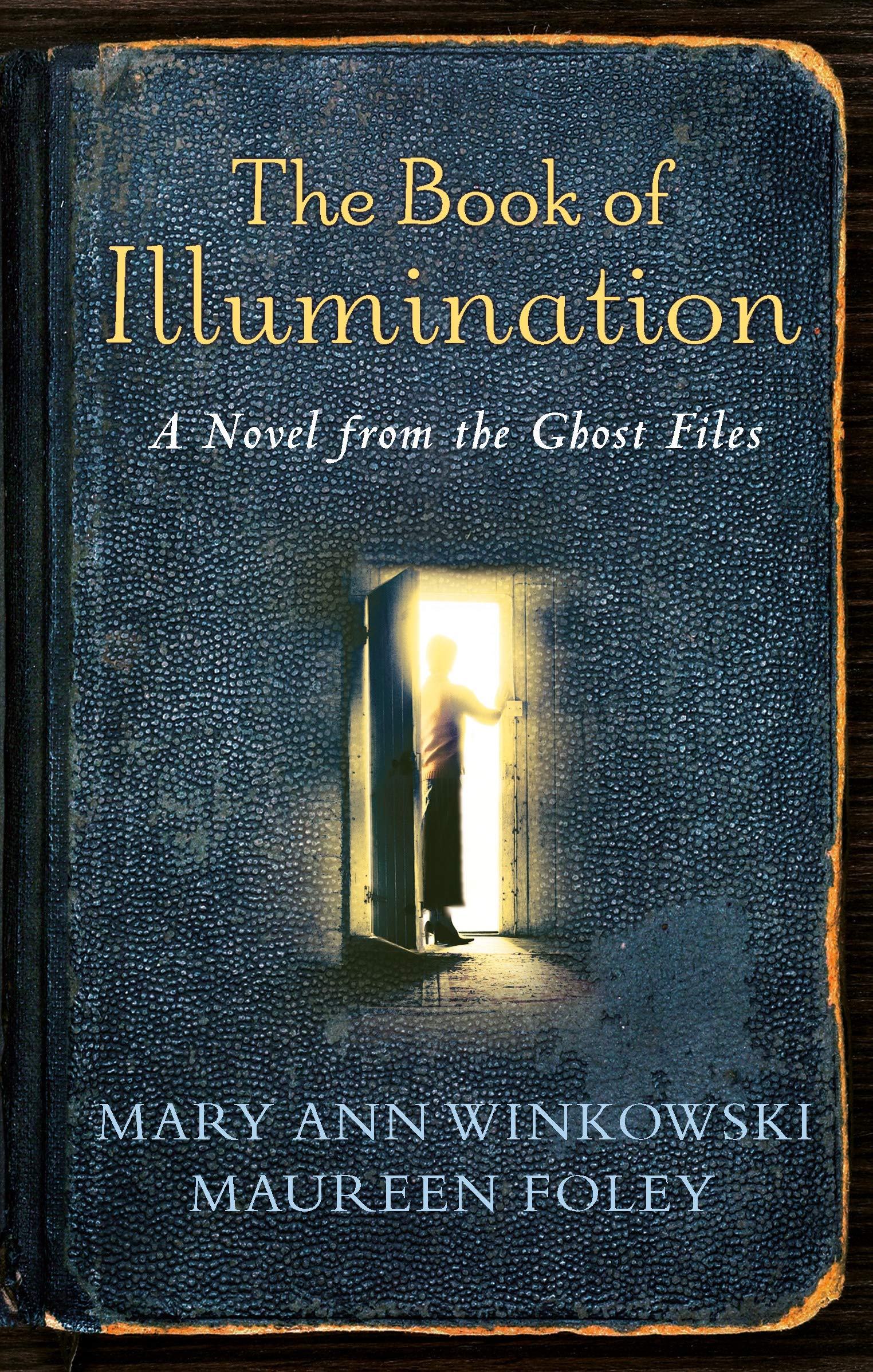 Amazon Fr The Book Of Illumination A Novel From The Ghost Files