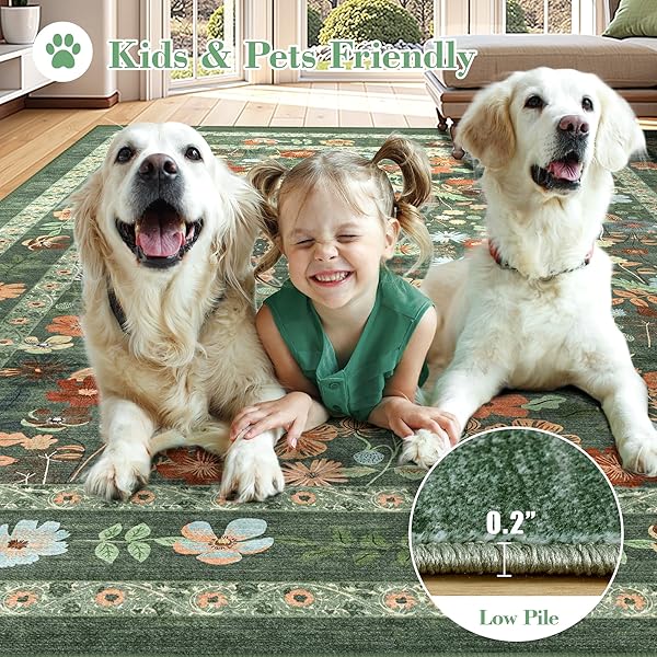 DEERLY GREEN BOHO FLORAL RUG 6X9 VINTAGE BOHO WASHABLE NON-SLIP LIVING ROOM CARPET SOFT LOW PILE THIN BEDROOM FLOOR MAT INDOOR FOR DINING ROOM PLAYROOM NURSERY FARMHOUSE, GREEN/MULTI