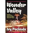 Wonder Valley: A Novel