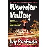 Wonder Valley: A Novel