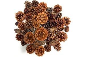 Nautical Crush Trading Scented Pine Cones Cinnamon - Pine Cones for Decorating -Variety Mix 40+ Cinnamon Pinecones Scented - Scented Pinecones - for Crafts and Vase Filler