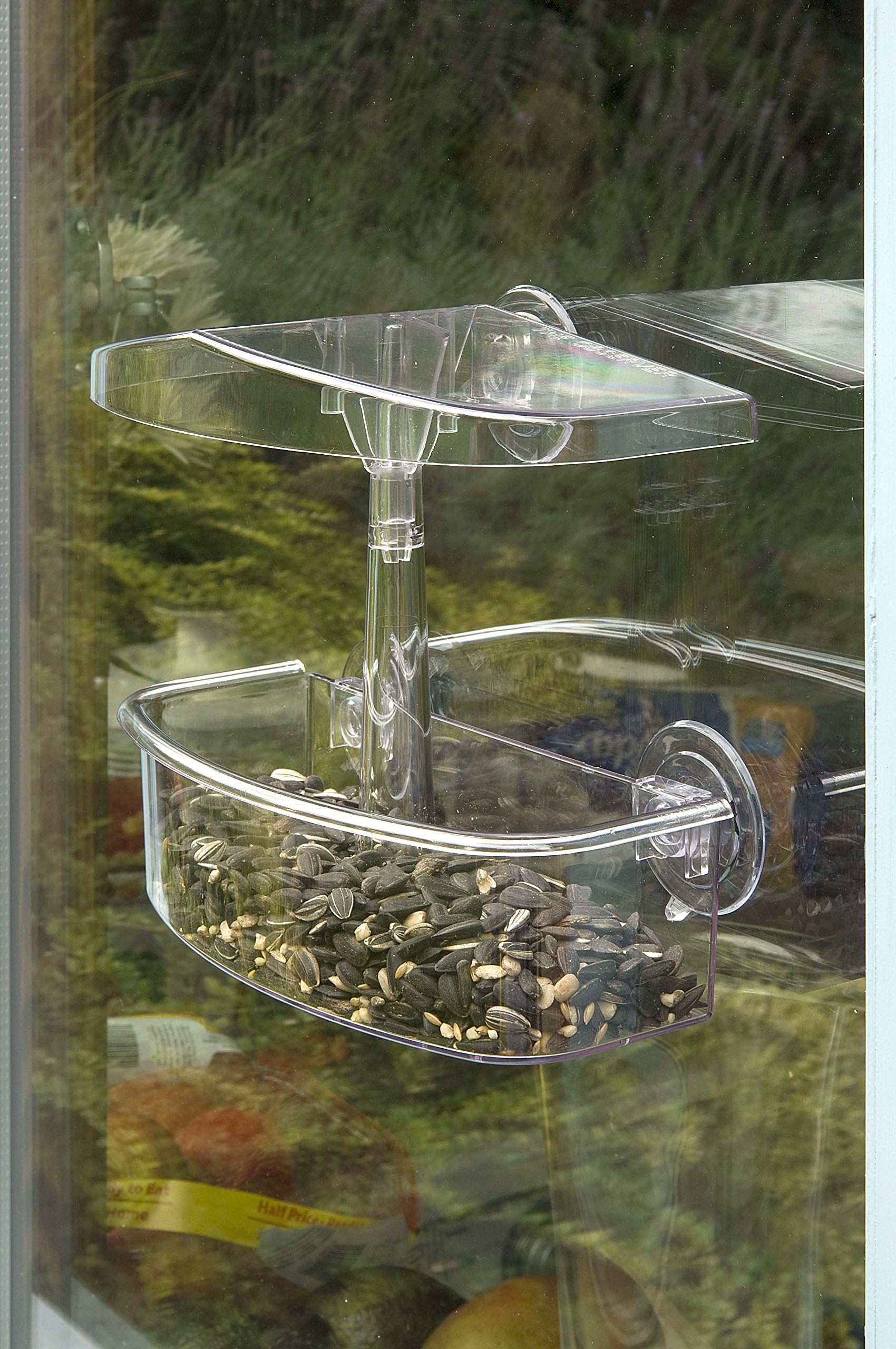 Jacobi Jayne Observer Window Wild Bird Feeder Seed, Clear