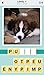 4 Clues: Word Search Game