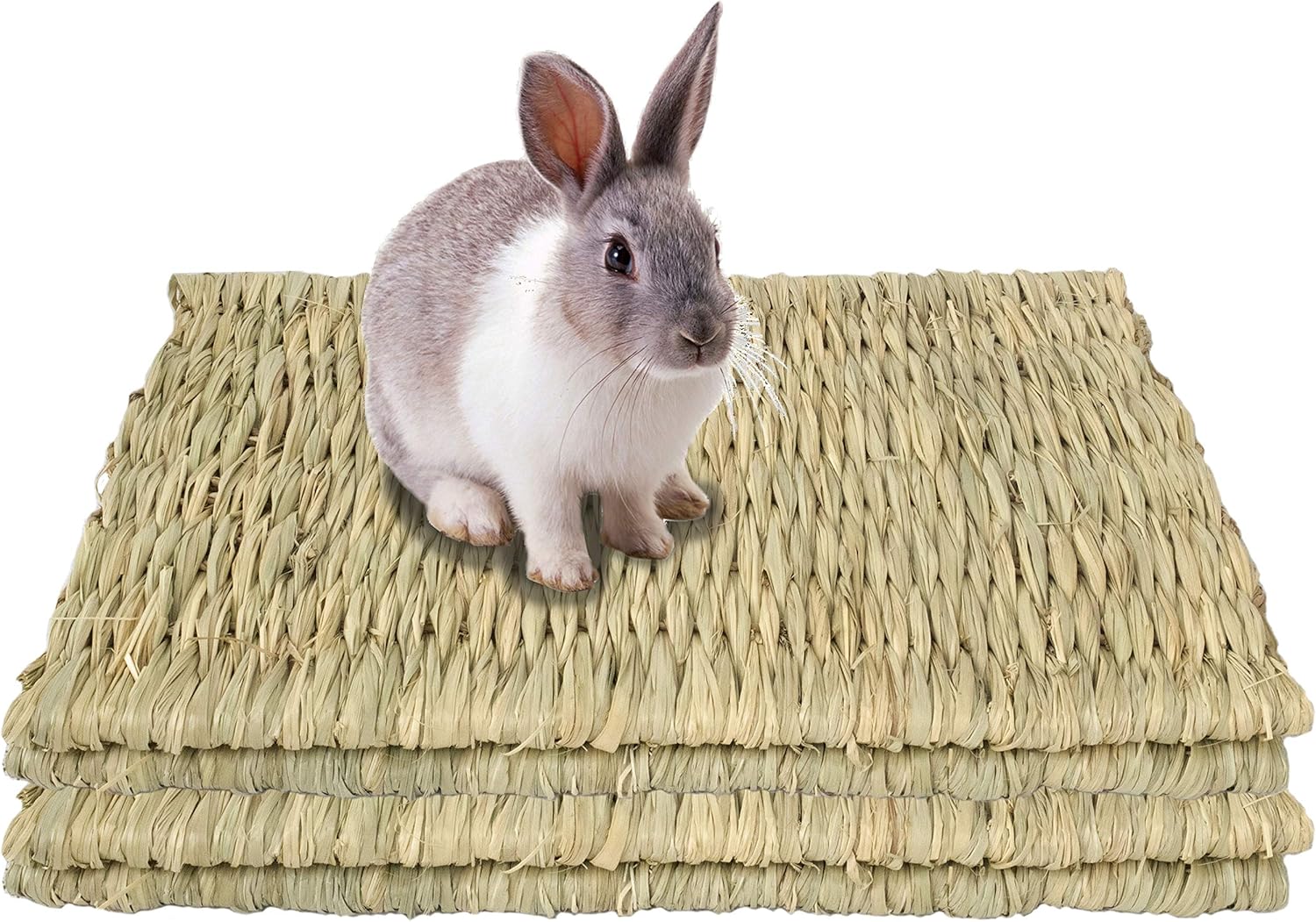 Grass Pet Mats for Bunny, Rabbit, Hamster, Guinea Pig, Chinchilla and