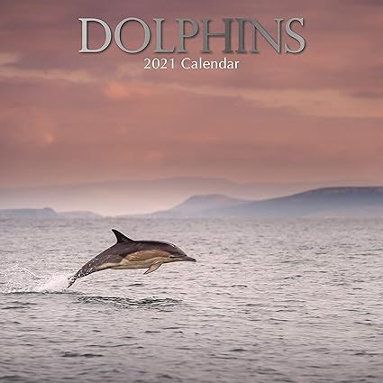 21 Wall Calendar Delfini Calendario 30 X 30 Centimetri Vista Mensile 16 Mesi Animali A Tema Comprende 180 Adesivi In Inglese Amazon It Cancelleria E Prodotti Per Ufficio