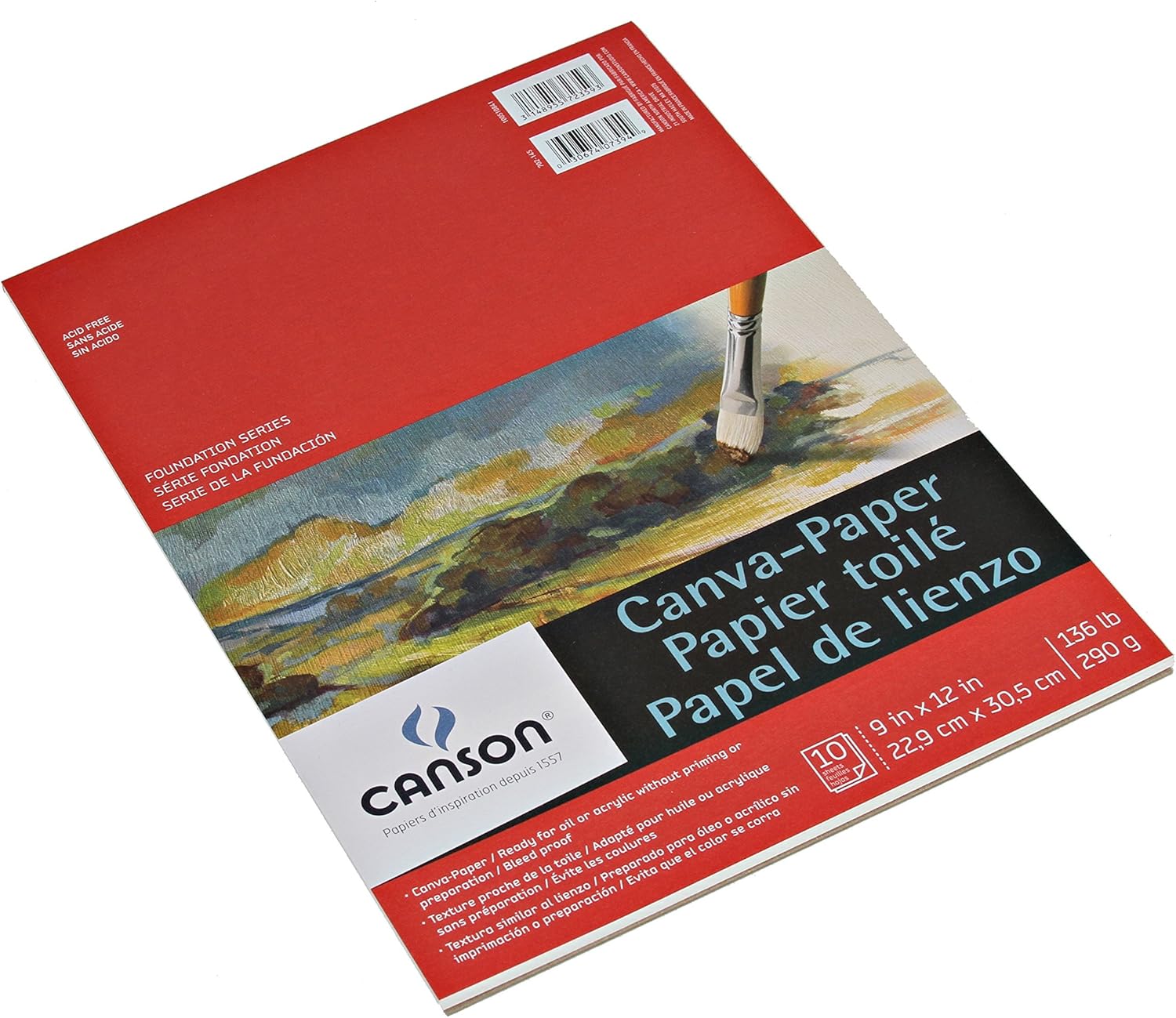 Canson 100510843 Foundation Series Canva-Paper Pad Primed for Oil or Acrylic Paints, Top Bound, 136 Pound, 16 x 20 Inch, 10 Sheets, 16" x 20", 0