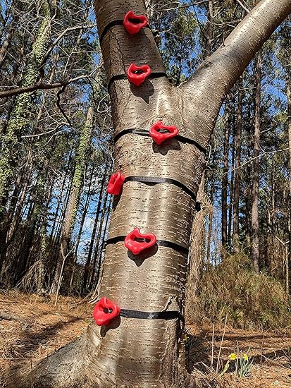 Amazon Com Tuahoo Gym Backyard Ninja Tree Climbers Climbing Holds