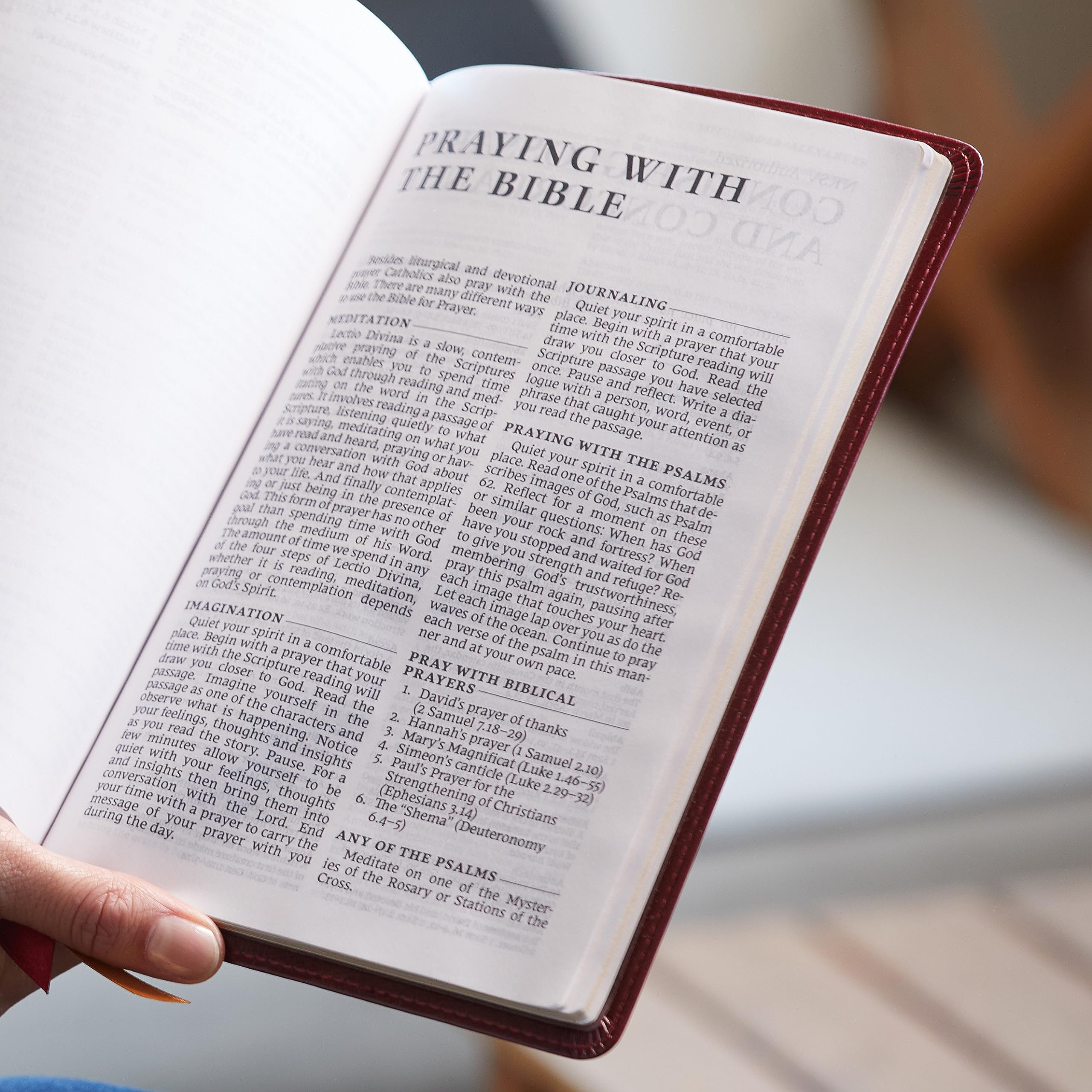 NRSV Large Print Standard Catholic Bible, Red Leathersoft (Comfort Print, Holy Bible, Complete Catholic Bible, NRSV CE): Holy Bible NRSV Large Print Standard Catholic Bible, Red Leathersoft (Comfort Print, Holy Bible, Complete Catholic Bible, NRSV CE): Holy Bible Imitation Leather