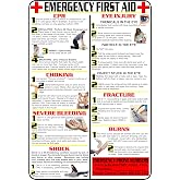 First Aid and Choking Poster, 11' x 17", Laminated, Includes CPR, Shock, Eye Injury, Fracture, Burns, Severe Bleeding &amp; Choking