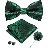 JEMYGINS Mens Paisley Bow Tie and Lapel Pin Necktie Pocket Square and Tie Clip with Sets for Business Casual 4PCS