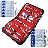 A2Z Scilab Brand Advanced Biology Lab Anatomy