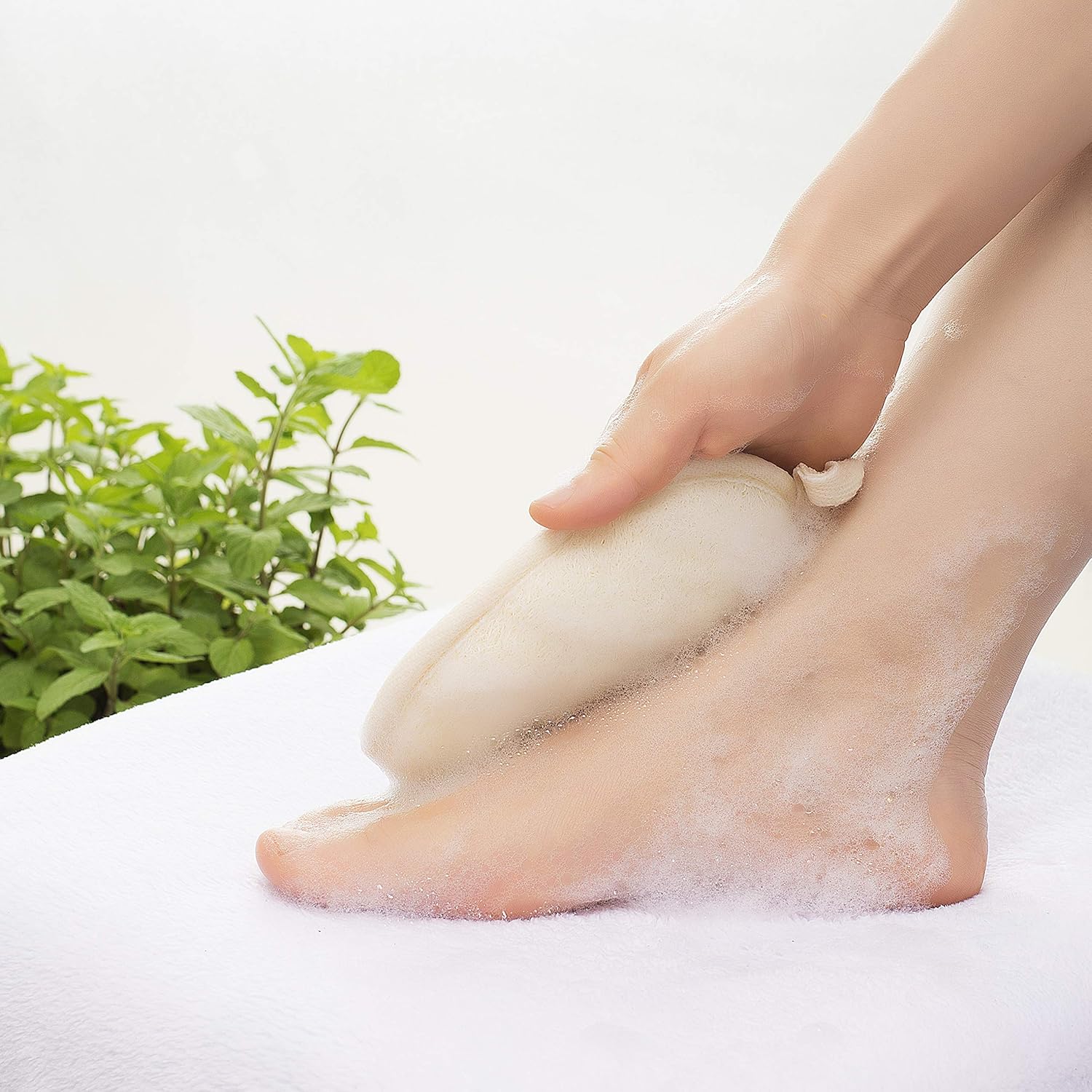 Eco-Friendly Lava Pumice Stone for feet - Callus Remover for feet and hands - Natural Foot Scrubber for Exfoliation to Remove Dead Skin – Pedicure Foot Care Gift Set with Organic Loofah Pad & Tray: Beauty