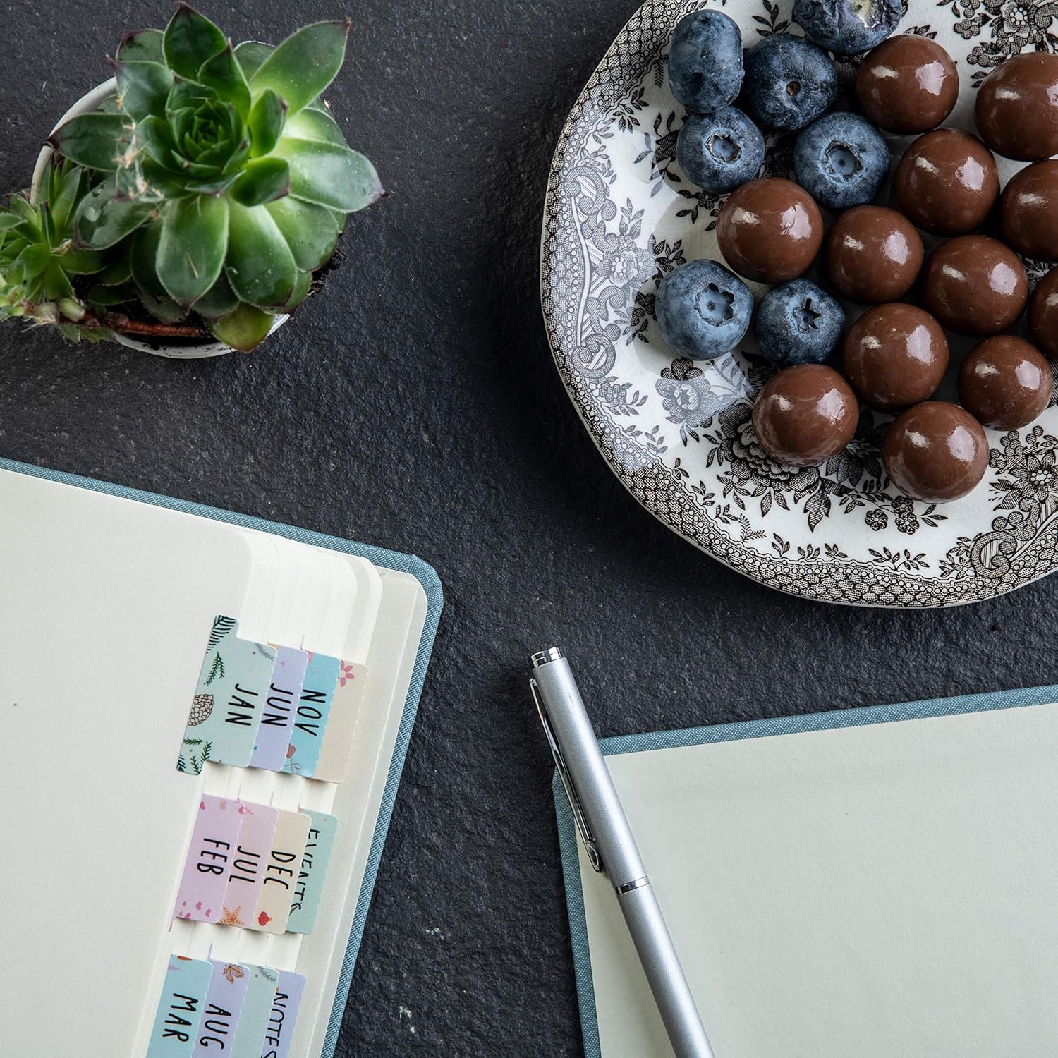 DiverseBee Laminated Planner Monthly Tabs, 24 Peel and Stick Tabs for Notebooks (12 Month Tabs and 12 Blank Tabs), Calendar Monthly Tab Stickers for Planners, Monthly Dividers (Assorted): Office Products