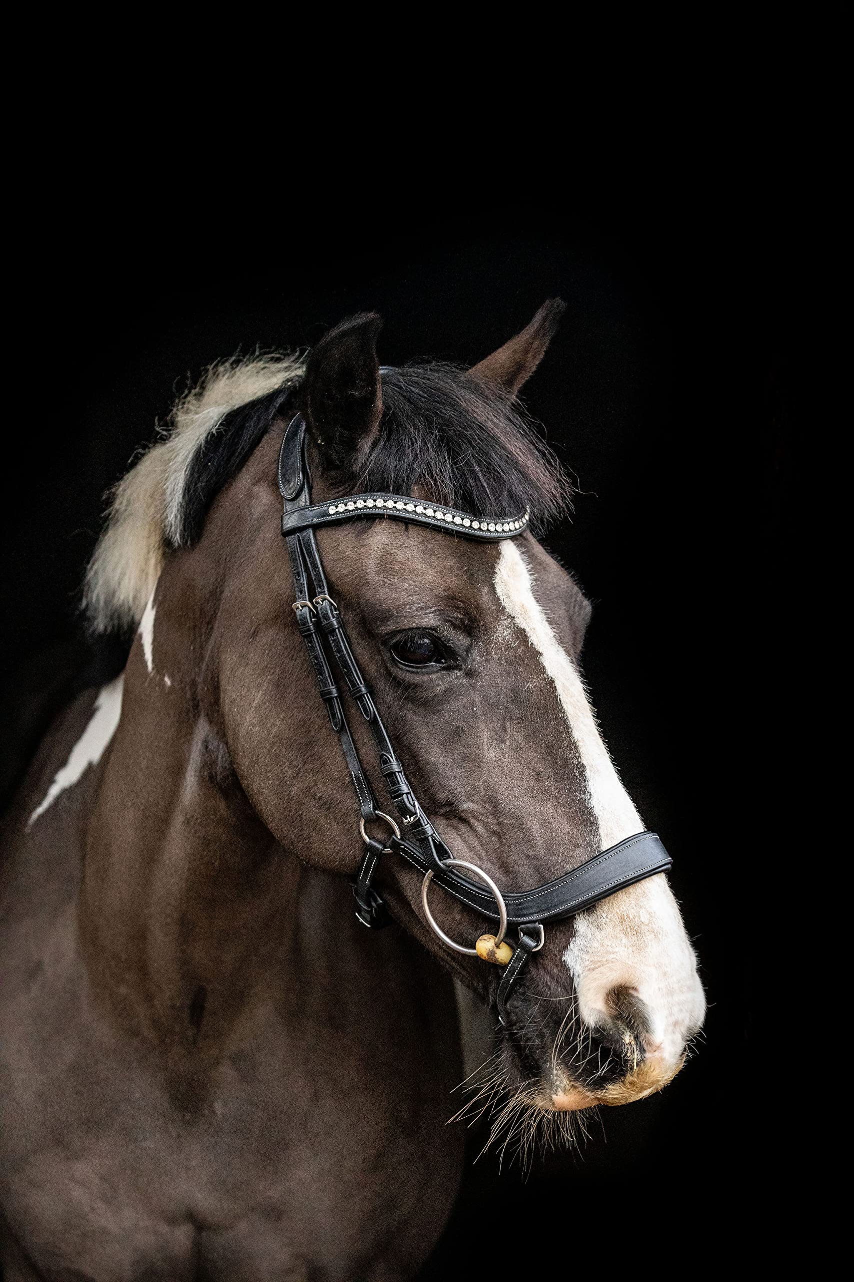 Equipride ANATOMICAL BRIDLE SANTA FE WITH ANTI SLIP RUBBER GRIP REINS (Full, Black)