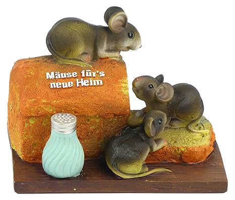 Spardose als Einweihungsgeschenk für Wohnung oder Haus oder als Einzugsgeschenk Geschenk oder Geldgeschenk zum Einzug und Umz