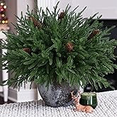 HyeFlora 19 Inch Christmas Norfolk Pine Stems, 12PCS Real Touch Faux Cedar Pine with 5PCS Big Pine Cones Branches, Artificial DIY Greenery Stems Plastic Picks for Vase Indoor Outdoor Home Garden Décor