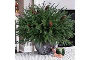 HyeFlora 19 Inch Christmas Norfolk Pine Stems, 12PCS Real Touch Faux Cedar Pine with 5PCS Big Pine Cones Branches, Artificial DIY Greenery Stems Plastic Picks for Vase Indoor Outdoor Home Garden Décor