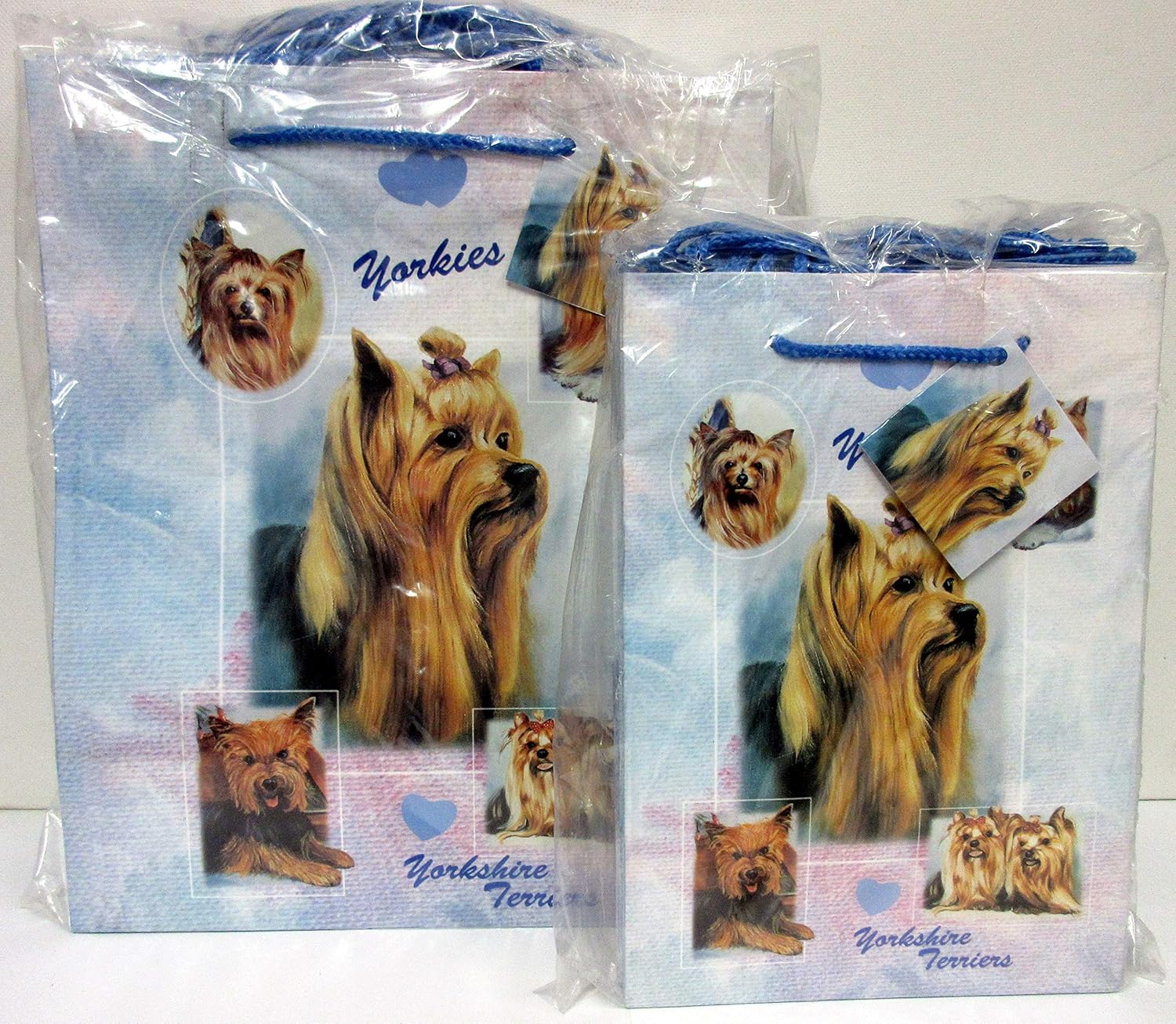 yorkshire terrier small