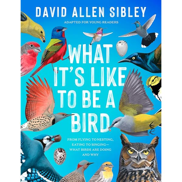 Are You A Bird Like Me?: Foy, Noel, Roberto, Mr. Nicholas, Sgroi