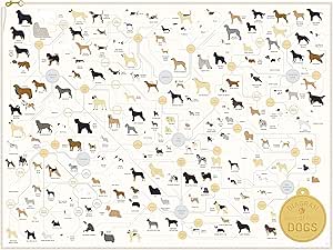 large dog breed chart
