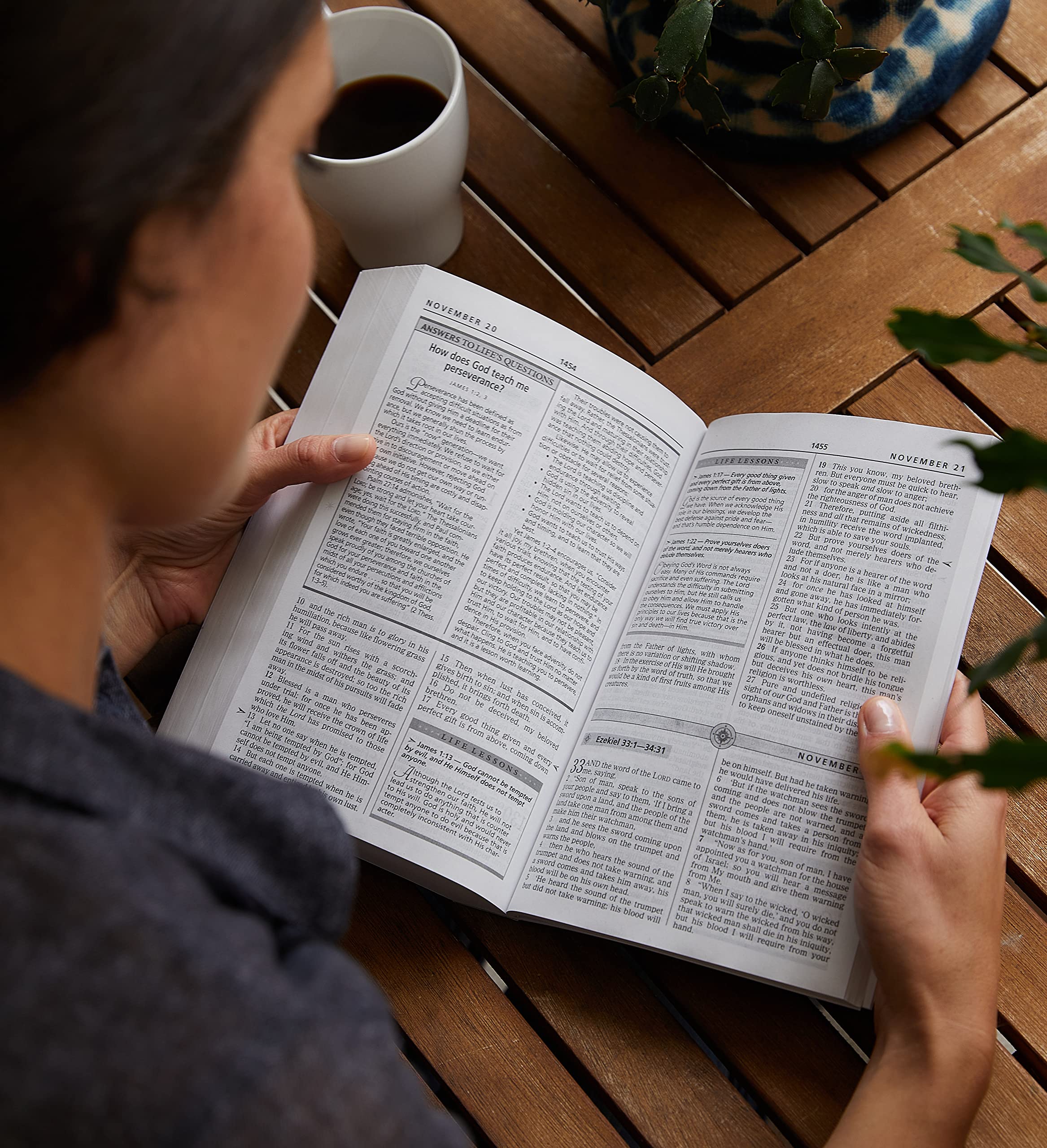 NASB, The Charles F. Stanley Life Principles Daily Bible, Paperback: Holy Bible, New American Standard Bible
