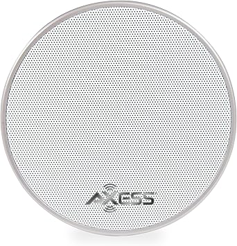 axess speaker pairing