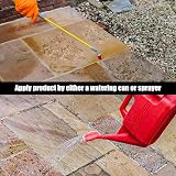 Star Brite Garden Xpert Patio Cleaner Concentrate 5L 250m2 Coverage view 4