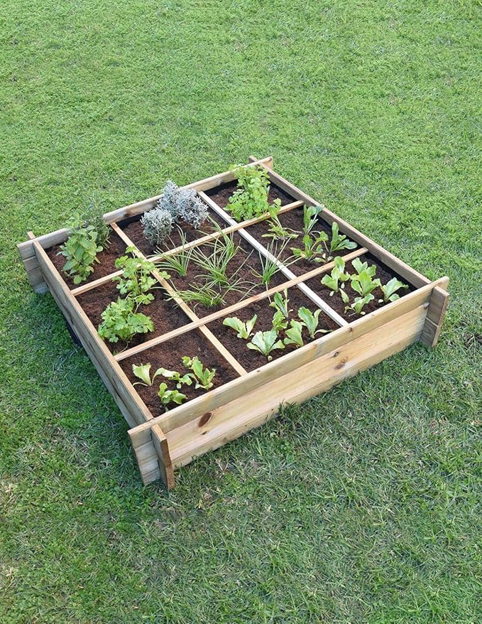 Faura 16 departamentos - Huerto Urbano de Madera - Suelo: Amazon ...