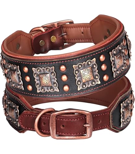 Amazon.com: Ancol Timberwolf Whippet Leather Dog Collar, Sable
