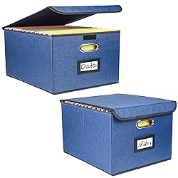 Desihum Collapsible File Organizer Box, filing
