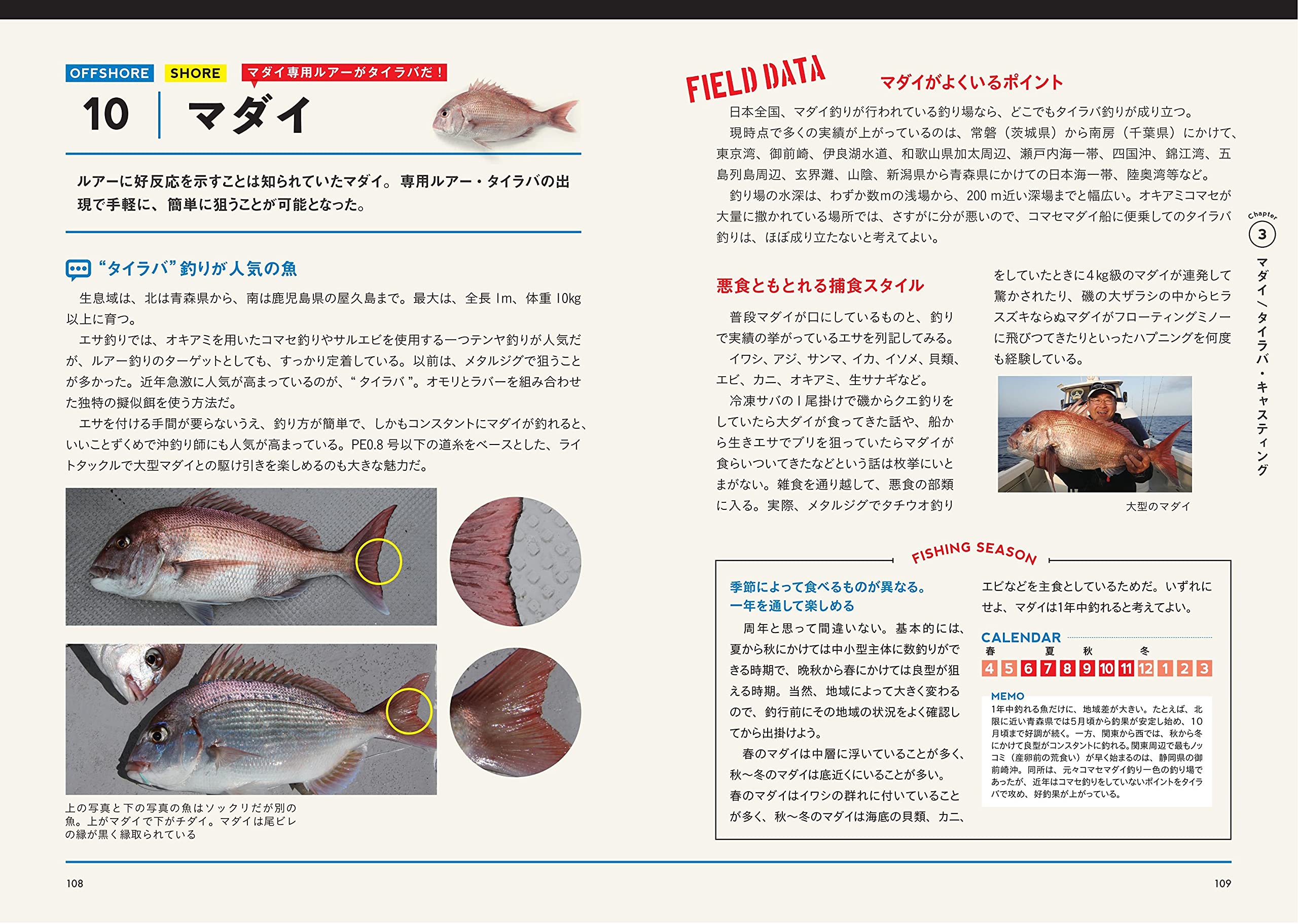 海のルアー釣り 完全book 新版 基礎と上達がまるわかり プロが教える最強のコツ コツがわかる本 村越 正海 村越 正海 本 通販 Amazon