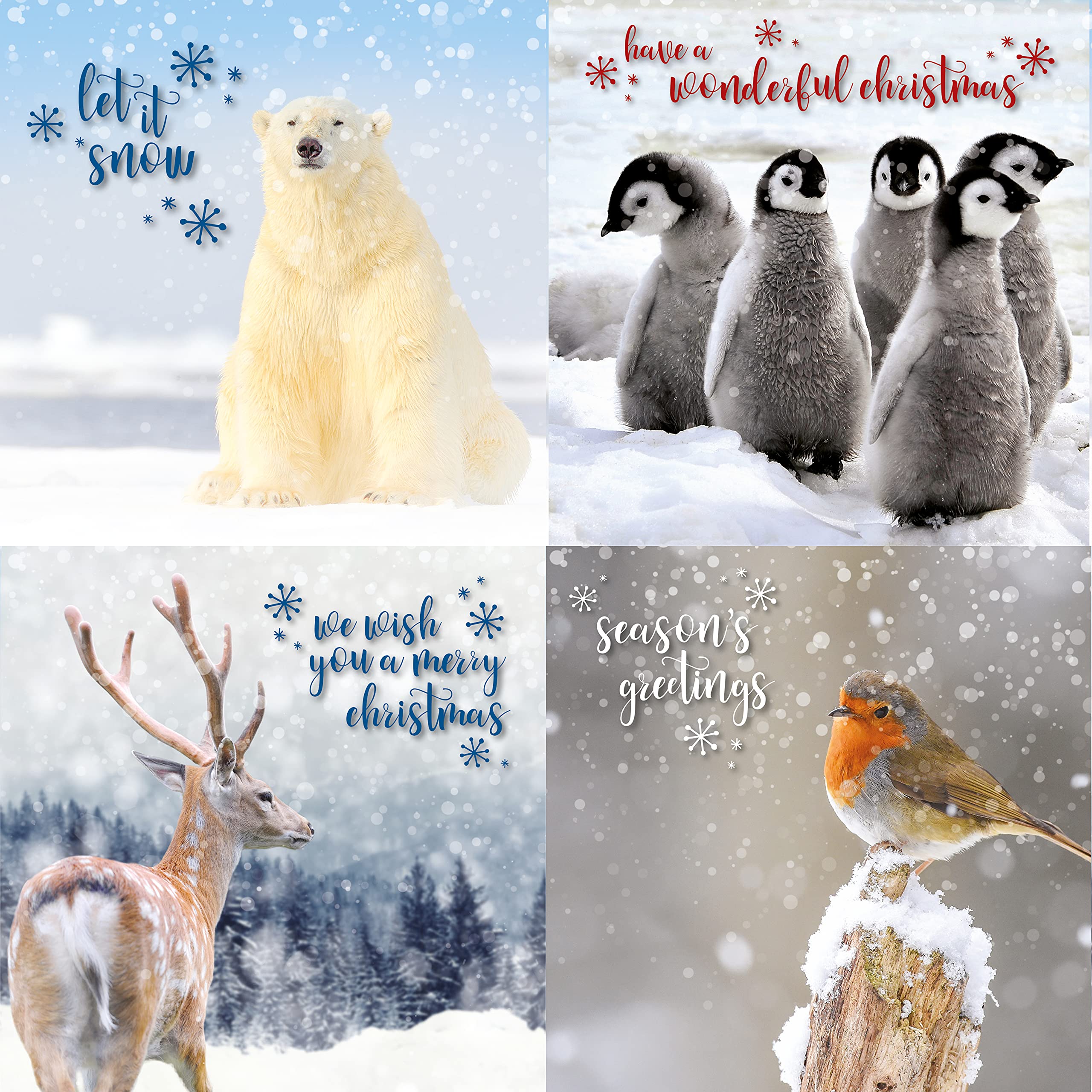 Emotional Rescue Christmas Cards Multi-pack, Pack of 12 Animal Christmas Cards, 4 Different Designs, Multi-Coloured