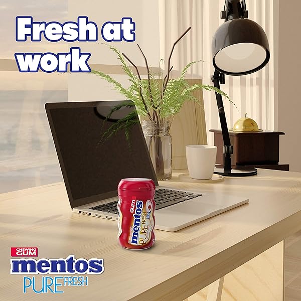MENTOS PURE FRESH SUGAR-FREE CHEWING GUM WITH XYLITOL, CINNAMON, NON MELTING, 50 PIECE BOTTLE