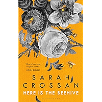 Here is the Beehive: Shortlisted for Popular Fiction Book of the Year in the AN Post Irish Book Awards book cover