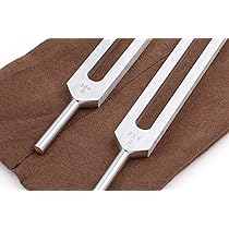 Amazon.com: Body Tuners Tuning Forks - 256Hz & 384Hz (C&G