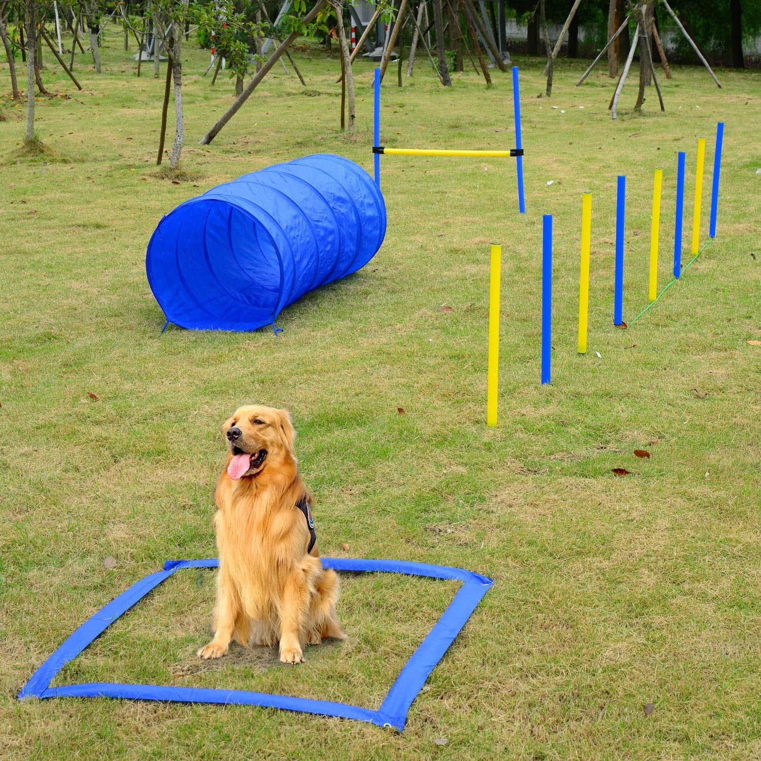 Mascarello Pet Agility Training Set Play Kit Dogs Hound Set Pole Tunnel Obedience Equipment