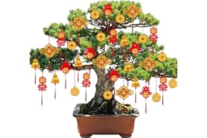 PARTYPROPS 44 Pcs Chinese New Year Decorations, Spring Festival Chinese Knot Hanging Ornaments Lucky Fu Copper Coin Pendants Lunar New Year Decorations Dragon New Year Ornaments Home Office Car Tree Decor