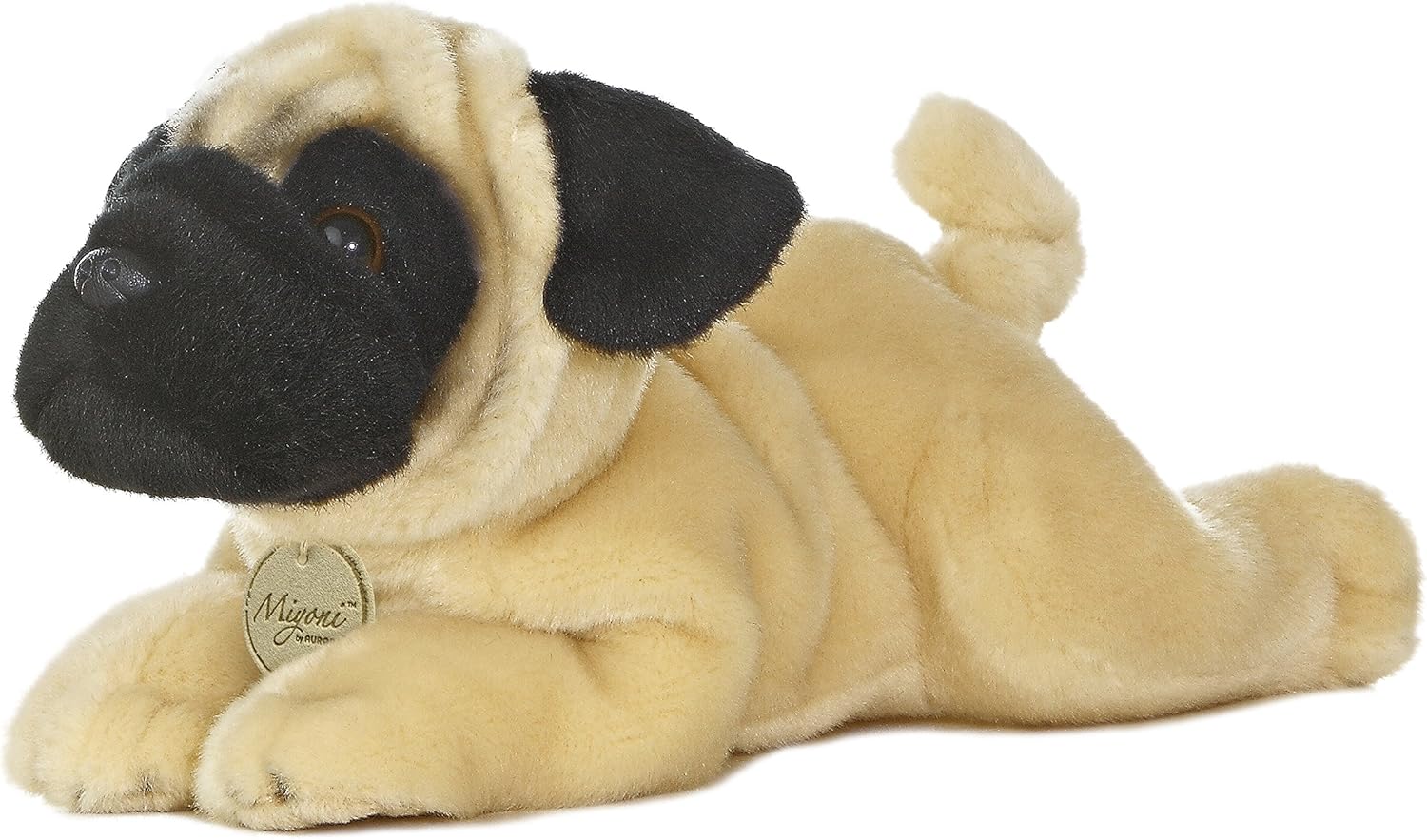 aurora pug