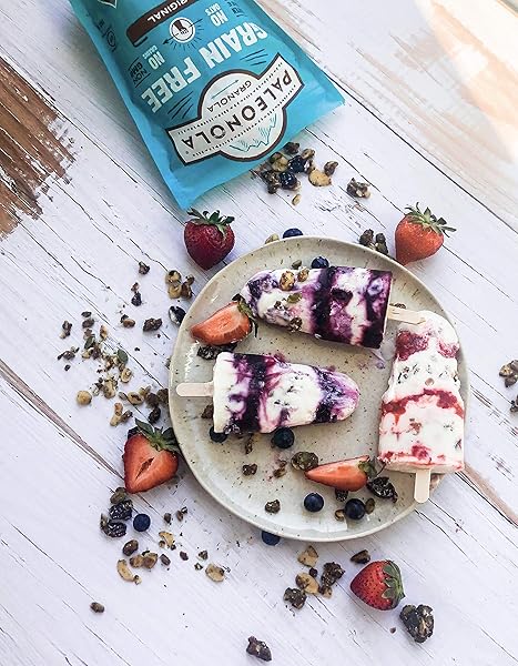 PALEONOLA – GRAIN FREE GRANOLA ORIGINAL FLAVOR – NON-GMO, GRAIN, SOY, GLUTEN, DAIRY FREE – LOW CARB PROTEIN SNACK FOR A HEALTHY BREAKFAST