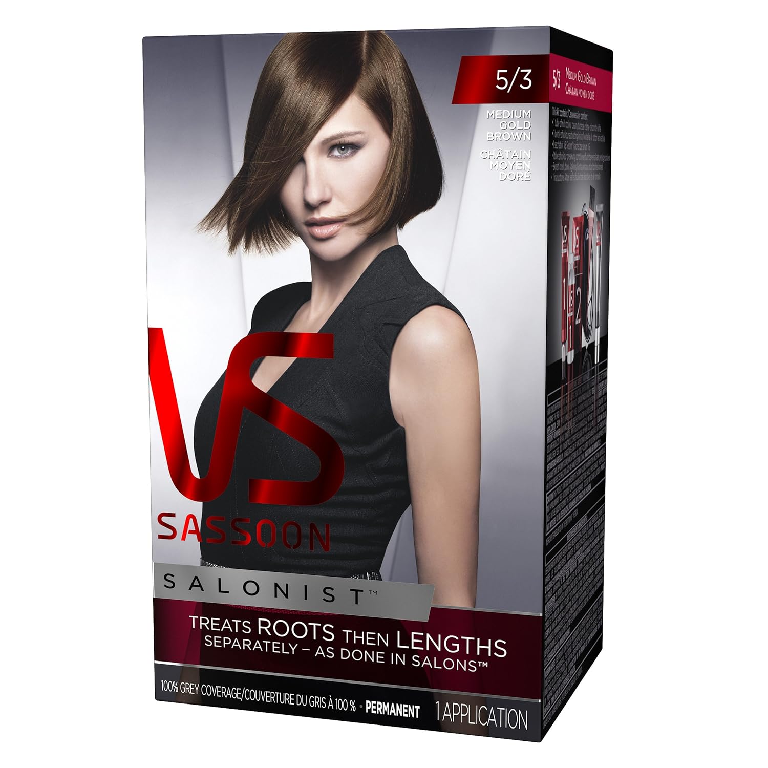 Amazon Com Vidal Sassoon Salonist Hair Color Permanent Color Kit