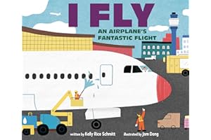 I Fly: An Airplane's Fantastic Flight